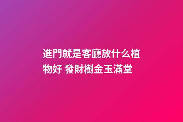 進門就是客廳放什么植物好 發財樹金玉滿堂